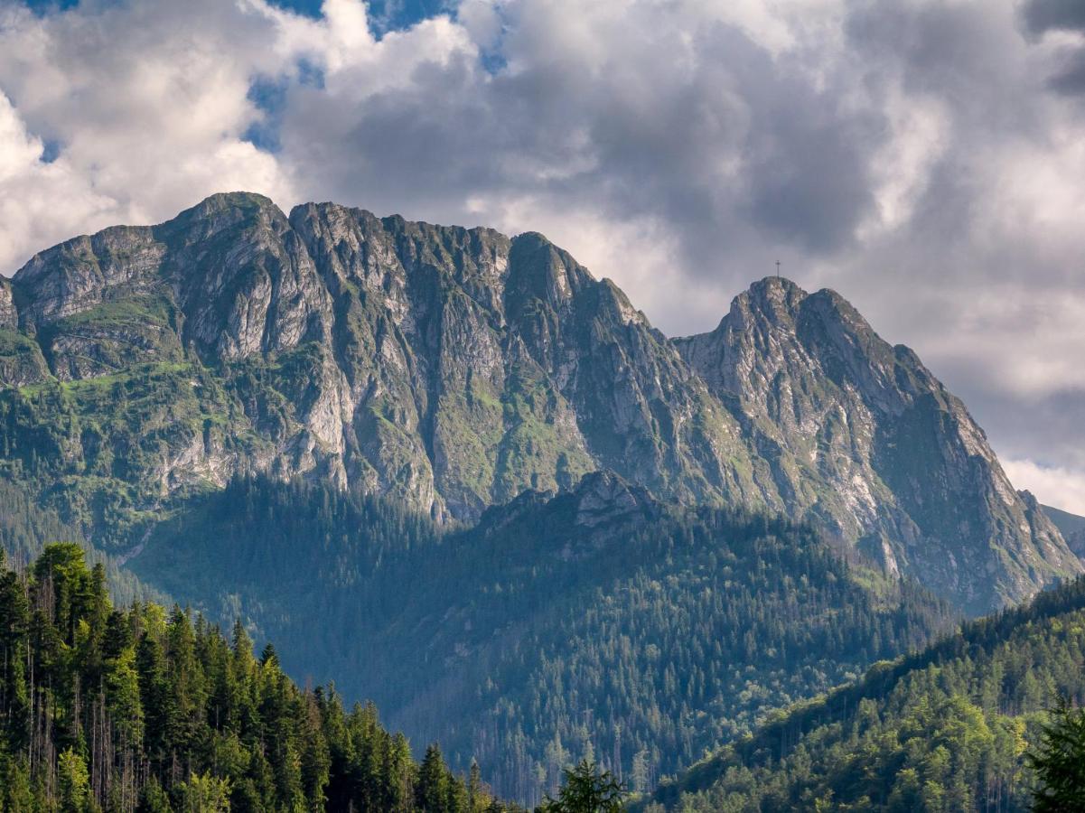 Tatry Mozaika Premium & - Sauna, Jacuzzi, Flipper By Rentilopl Villa Zakopane